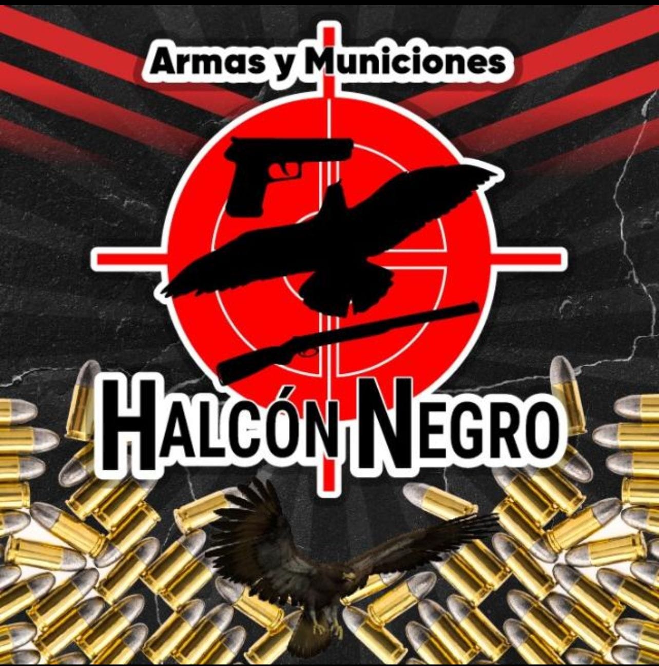 HalconNegro